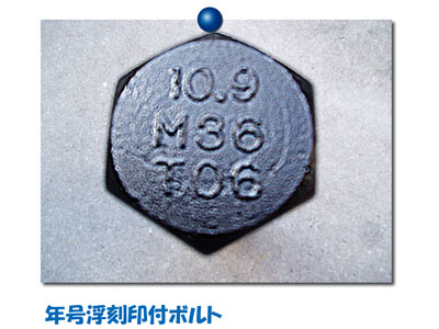 ����{���g